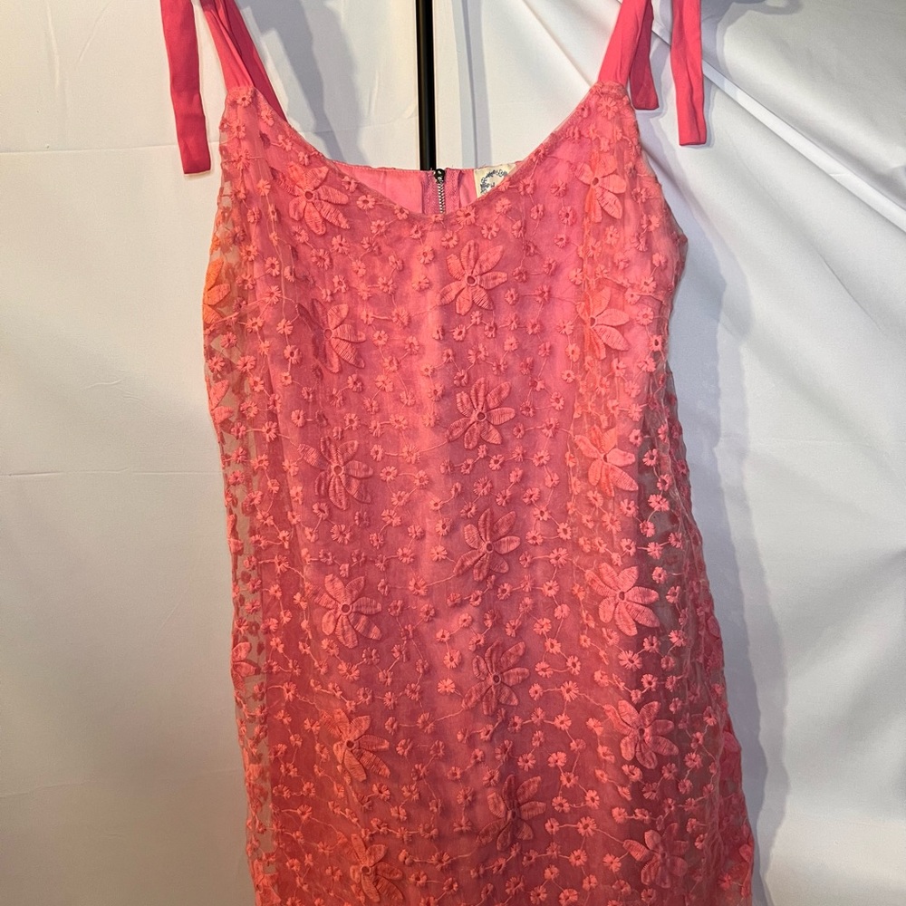 Francesca's Collections Pink Floral Mini Dress